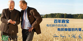 喜寶米粉怎么樣？喜寶米粉如何？
