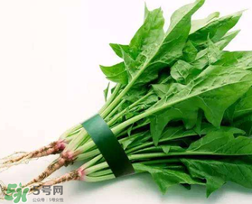 孕婦可以吃菠菜嗎？孕婦菠菜吃多了會怎樣？