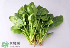 孕婦可以吃菠菜嗎？孕婦菠菜吃多了會怎樣？