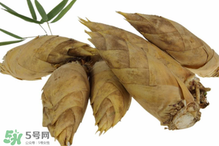 竹筍什么時候長出來？竹筍幾月份長出來？