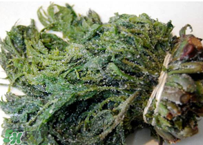 香椿腌制多久可以吃？香椿腌多長時間能吃？