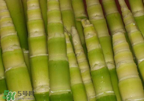 竹筍不焯水有毒嗎？竹筍不過水能吃嗎？