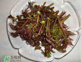 涼拌香椿要過水嗎？香椿涼拌前需要用開水焯一下嗎？