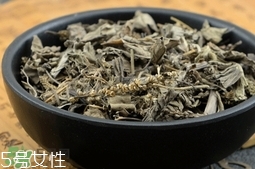 豬肚菜的營養價值_豬肚菜的功效與作用及食用方法