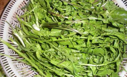 地菜是什么菜？地菜是不是薺菜