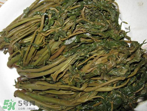 腌香椿要燙嗎？香椿腌之前用不用開水燙？