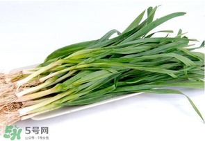 蒜苗發黃怎么回事？蒜苗發黃是什么原因？