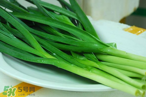 蒜苗發黃怎么回事？蒜苗發黃是什么原因？