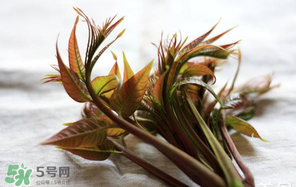 香椿怎么洗？香椿芽怎么洗干凈？