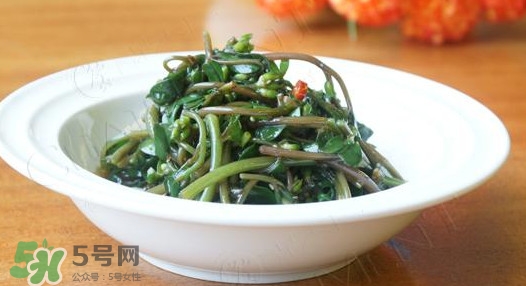 馬莧菜怎么吃？馬莧菜怎么做好吃