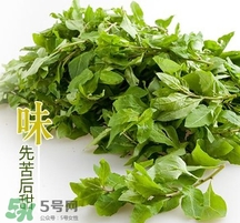 枸杞頭怎么吃？枸杞頭如何吃