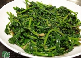 枸杞頭怎么吃？枸杞頭如何吃
