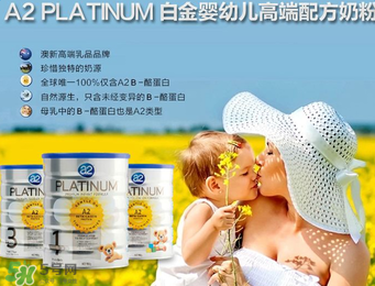 A2是哪個國家的品牌？A2奶粉的產地是哪個國家？