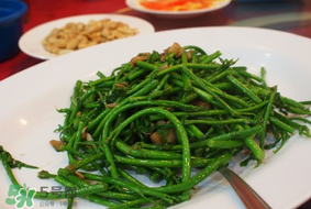 樹仔菜有毒嗎？樹仔菜有沒有毒？
