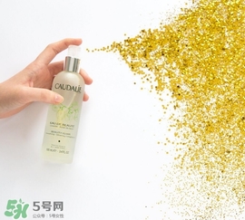 歐緹麗和悅木之源哪個好？歐緹麗皇后水和悅木之源菌菇水