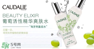 歐緹麗和悅木之源哪個好？歐緹麗皇后水和悅木之源菌菇水