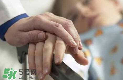 痛風能吃苦菊嗎？苦菊痛風人可以吃嗎