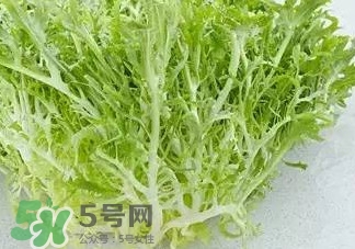 苦菊能涮火鍋吃嗎？苦菊可以涮火鍋嗎