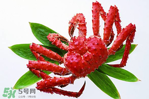 香椿能和海鮮一起吃嗎？香椿和海鮮能一起吃嗎？
