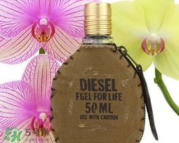 diesel迪塞爾是什么牌子？diesel是哪個(gè)國(guó)家的？