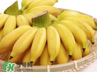 苦菊能和香蕉一起吃嗎？苦菊可以和香蕉一起吃嗎
