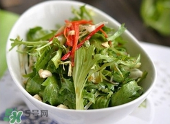 苦菊怎么保存？苦菊怎樣保存