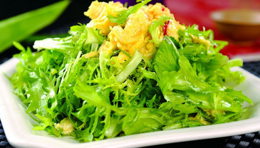 苦菊能和雞蛋一起吃嗎？苦菊可以和雞蛋一起吃嗎