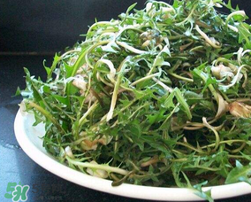 婆婆丁怎么吃？婆婆丁怎么吃最好？