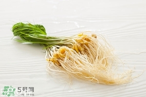 野生小根蒜的功效與作用 小根蒜有什么營養價值