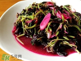莧菜怎么摘？莧菜怎么處理