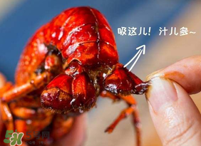吃油燜大蝦會胖嗎？油燜大蝦的熱量是多少？