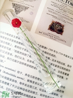 kenzo香水一枝花多少錢(qián)？kenzo一枝花香水怎么樣價(jià)格