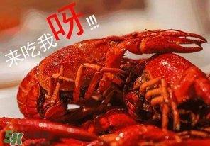 煮熟的小龍蝦隔夜能吃嗎？煮熟的小龍蝦能放多久？