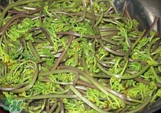 蕨菜干的營養價值_蕨菜干的功效與作用及食用方法