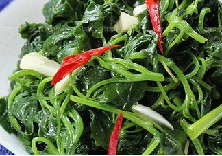 灰灰菜有毒嗎？灰灰菜有沒(méi)有毒