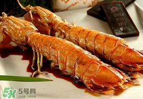 蝦爬子不能和什么一起吃？吃完蝦爬子不能吃什么？