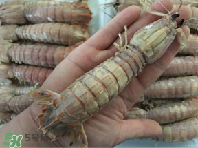蝦爬子是蒸還是煮？蝦爬子蒸好還是煮好？
