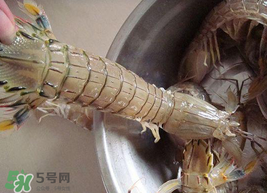 皮皮蝦可以放冰箱嗎？皮皮蝦能放冰箱保存嗎？