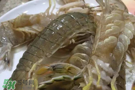 皮皮蝦可以放冰箱嗎？皮皮蝦能放冰箱保存嗎？