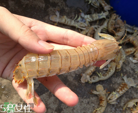 ?皮皮蝦發(fā)綠能吃嗎？?皮皮蝦變綠了還能吃嗎？