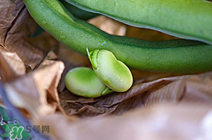 蠶豆可以放冰箱嗎？新鮮蠶豆可以放冰箱嗎？