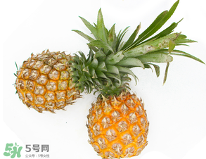 皮皮蝦和菠蘿能一起吃嗎？吃完皮皮蝦能吃菠蘿嗎？