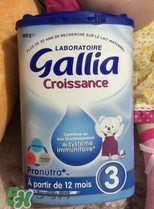 gallia佳利雅奶粉怎么沖？gallia佳利雅奶粉沖調方法？