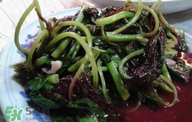 汗菜是發物嗎？汗菜是不是發物嗎