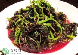 汗菜是發物嗎？汗菜是不是發物嗎