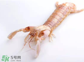皮皮蝦什么時(shí)候有籽？皮皮蝦幾月份有籽？