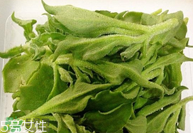 ?冰菜多少錢一斤？? 今年冰菜多少錢一斤？
