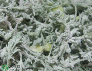 白蒿不能和什么一起吃？白蒿不能與什么同食？