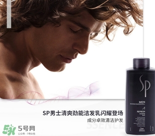 sp威娜是什么牌子？威娜是哪個國家什么檔次？
