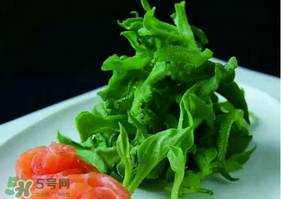 冰草怎么清洗？非洲冰草怎么清洗？